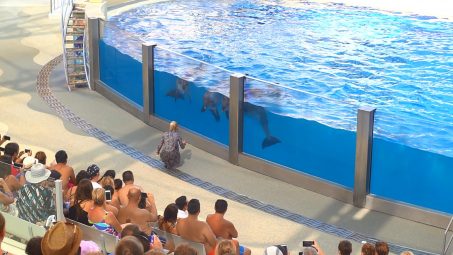 Rixos The Land Of Legends Show Pools - Referanslar - 3