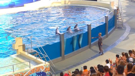 Rixos The Land Of Legends Show Pools - Referanslar - 2