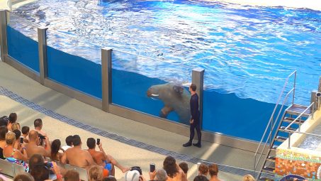 Rixos The Land Of Legends Show Pools - Referanslar - 1