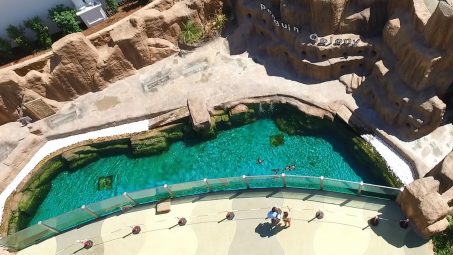 Rixos The Land Of Legends Show Pools - Referanslar - 6