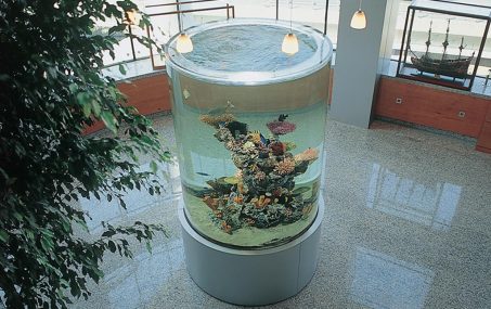 Arkas Holding Merkez Bina 5. Kat Akrilik Silindir Akvaryum - Referanslar - 1