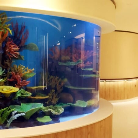 Ucc Akvaryum - Referanslar - 4